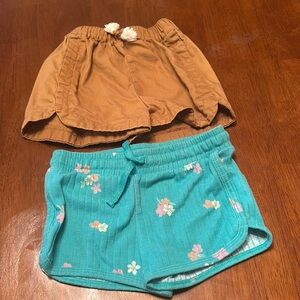 Cute Brown and Floral Teal Shorts